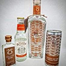 Load image into Gallery viewer, London Dry Gin & Tonic Ready to Drink Can 250ml 8%abv