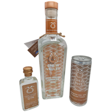 Load image into Gallery viewer, London Dry Gin & Tonic Ready to Drink Can 250ml 8%abv