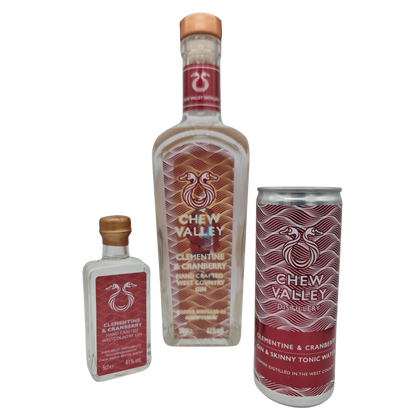 Clementine & Cranberry Gin and Tonic Ready to Drink Can 250ml 7.5% abv